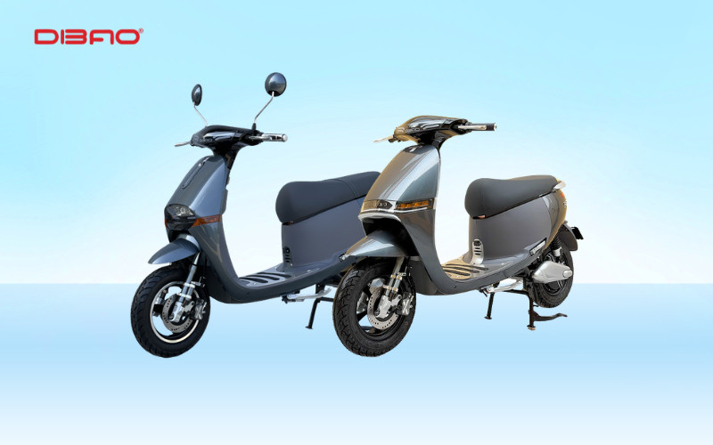 Các dòng xe điện màu ghi Dibao Gogo